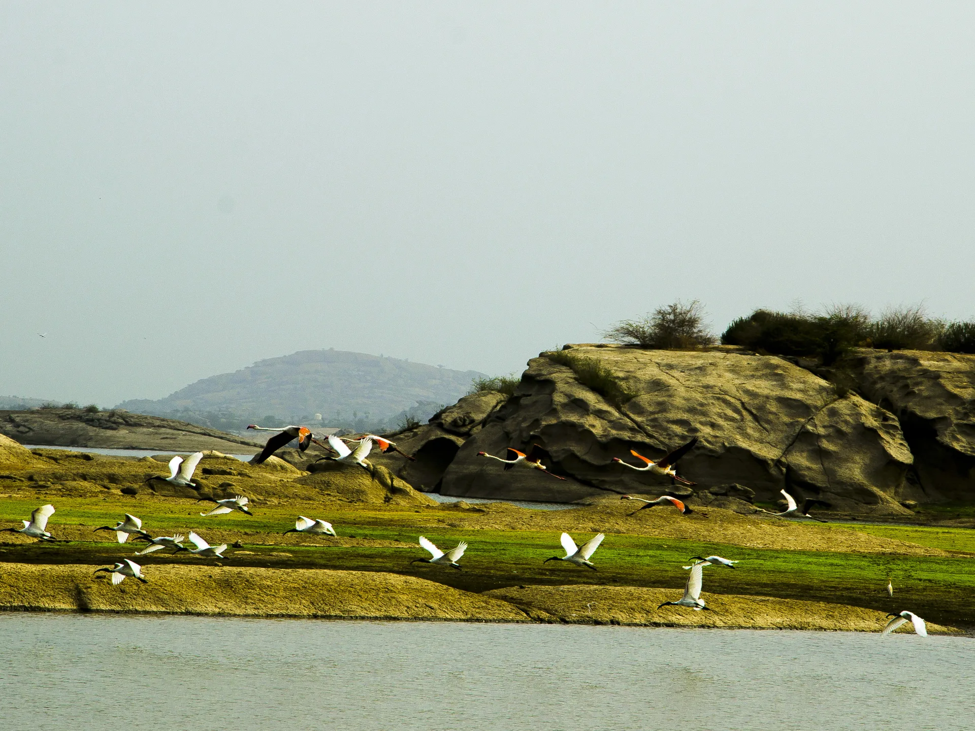 Jawai Bandh