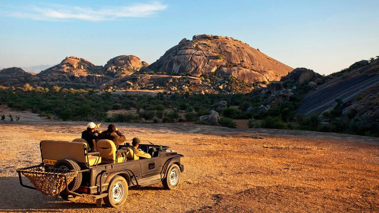 Jawai Leopard Jeep Safari