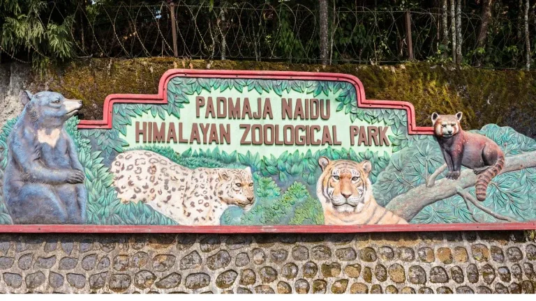 Padmaja Naidu Himalayan Zoological Park